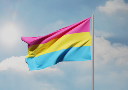 pansexualité